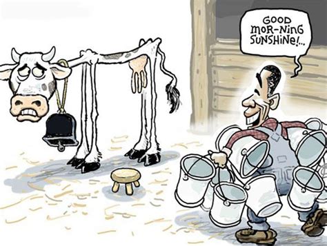 milking meme|overmilked cow meme.